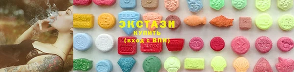 твердый Богданович