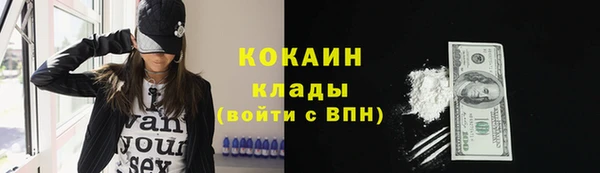 apvp Бородино