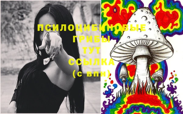 гидропоника Богородицк