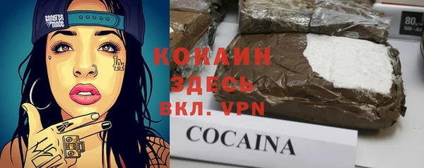 твердый Богданович