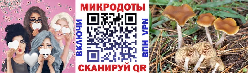 KRAKEN ССЫЛКА Вуктыл Галлюциногенные грибы мухоморы сколько стоит